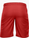 Hexa Soft Shorts RED , 2300603.